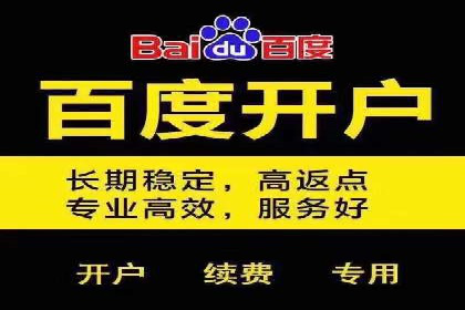 百度运营推广全攻略：成功案例深度剖析